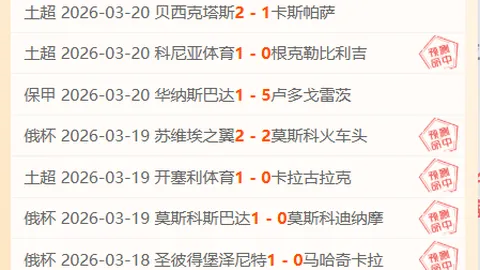 荷乙焦点战专家质合分析，预测期号赢家